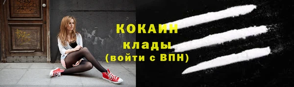 дмт Карпинск