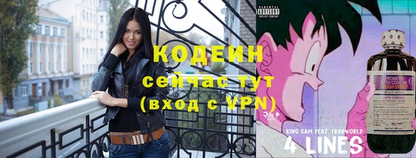 дмт Карпинск