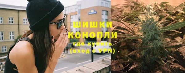 дживик Касимов