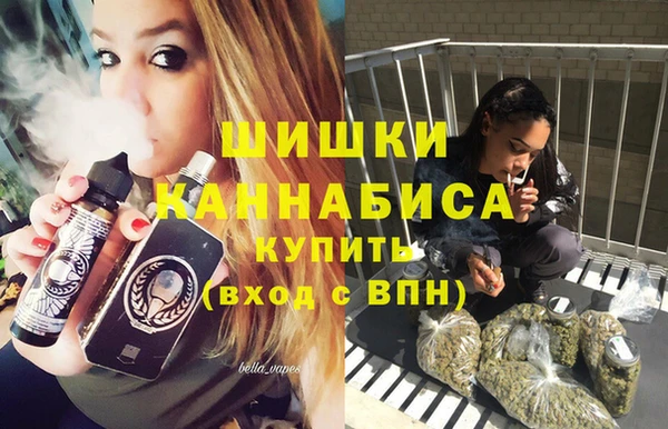 дживик Касимов