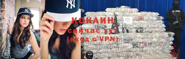 дживик Касимов